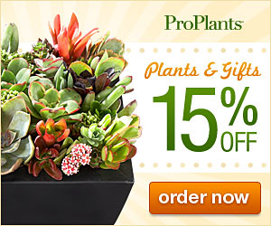 FTD Coupon: $10 OFF on Surprise Bouquet + Free Vase @ FTD.com